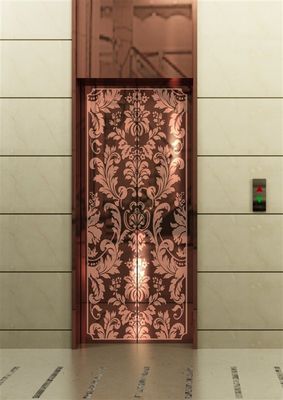 سعر جيد المعدن الصلب Gua Sha سعر المصعد المسافر مصعد المراقب الانترنت