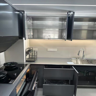 سعر جيد خزانات المطبخ من الفولاذ المقاوم للصدأ للخارج الأحجام القابلة للتخصيص الأسلوب الحديث مع المرحاض الدرج المنزلق وملحقات التخزين الانترنت